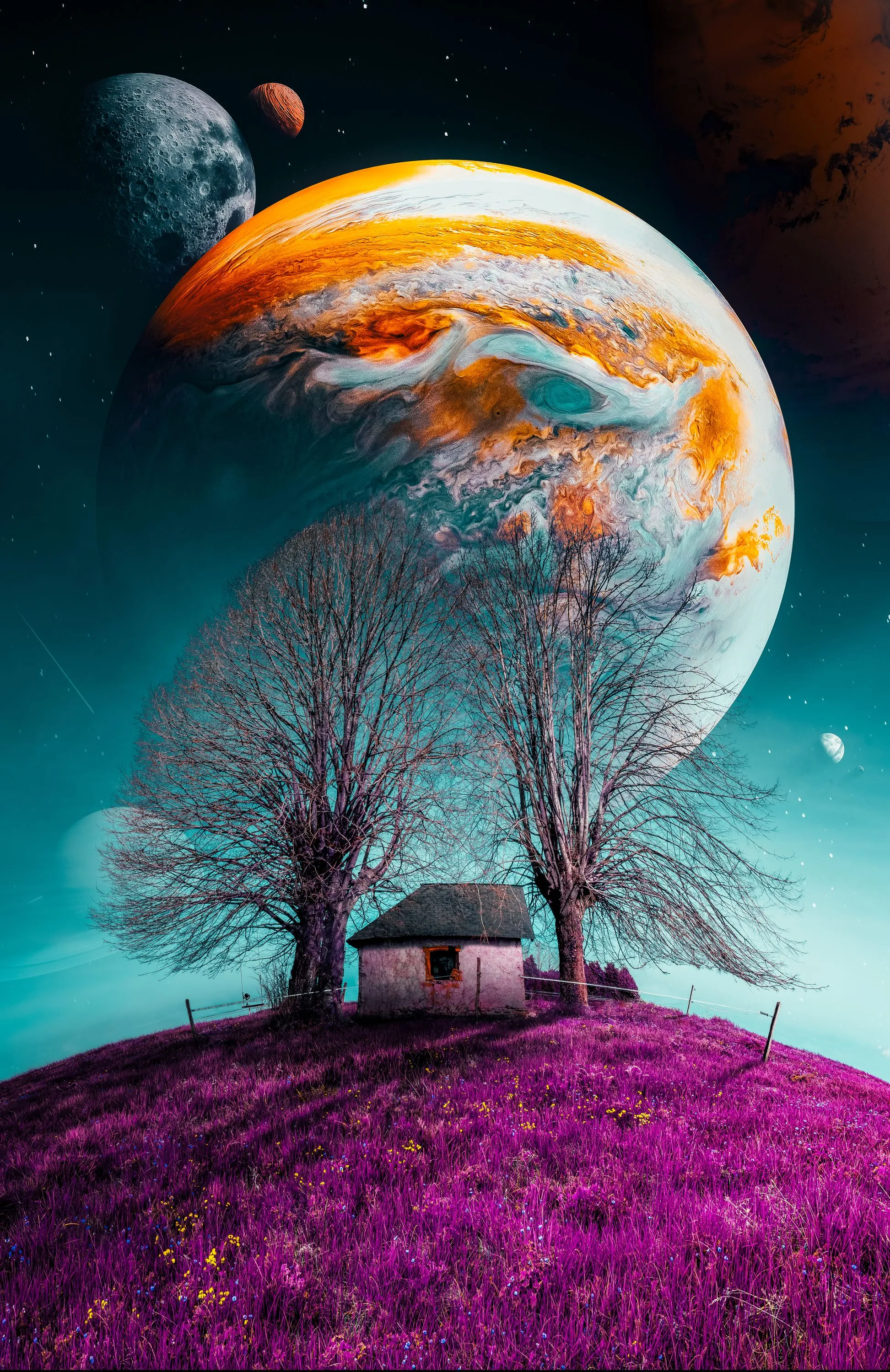 Photographies
