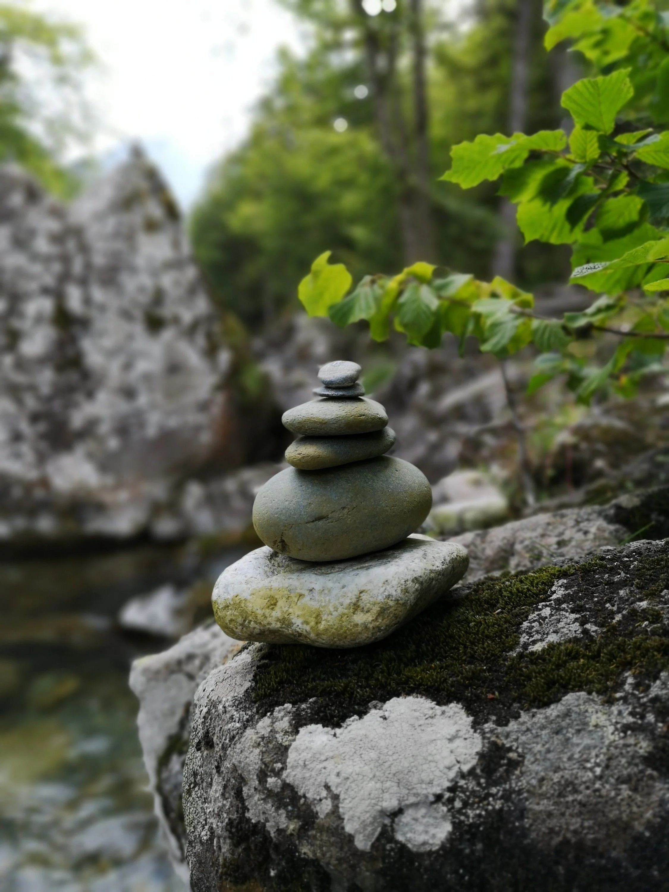 Equilibrium