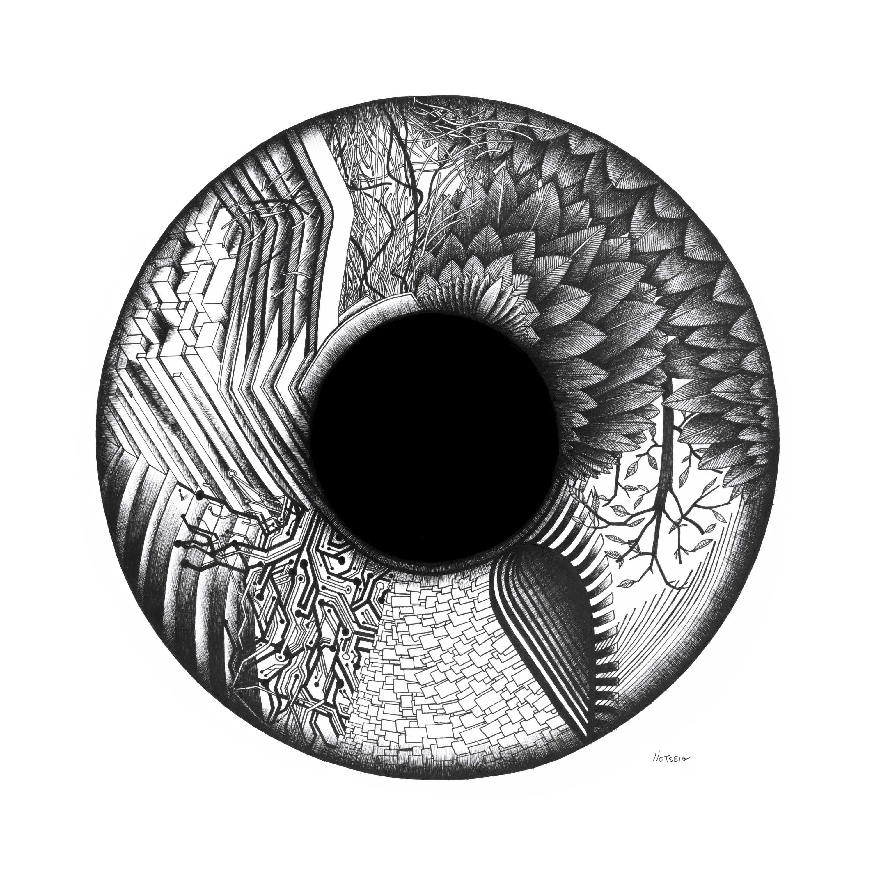 Iris