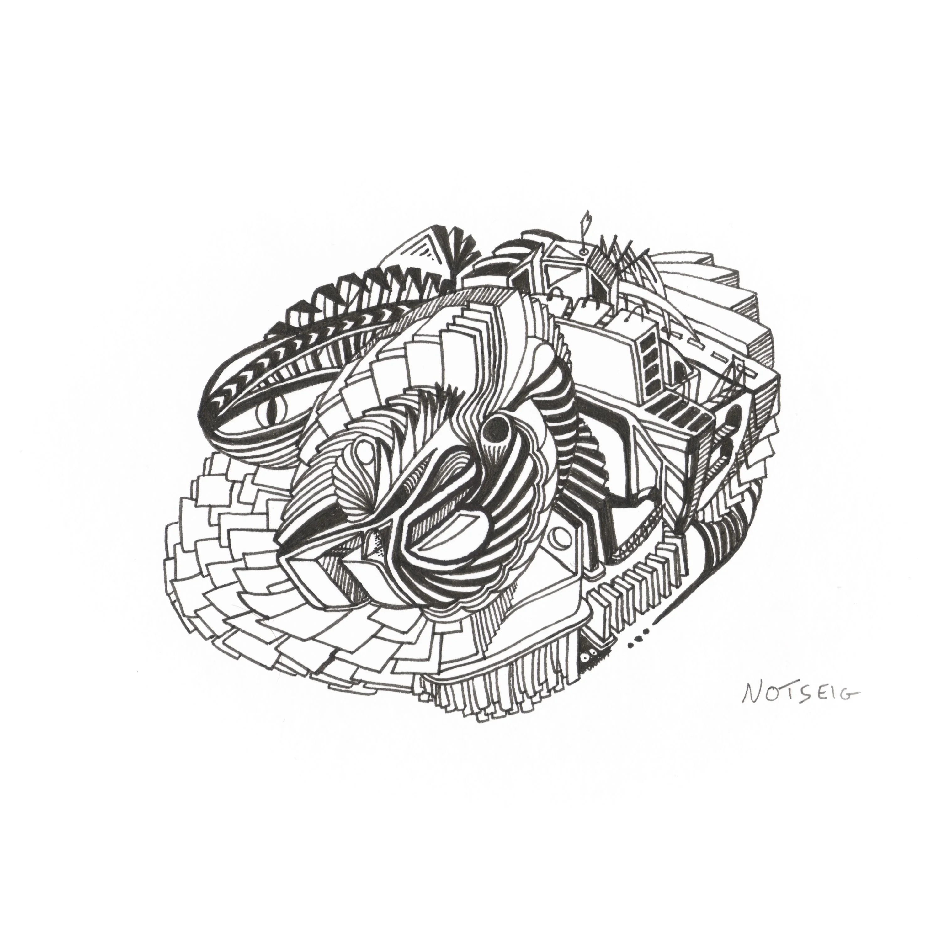 Shell