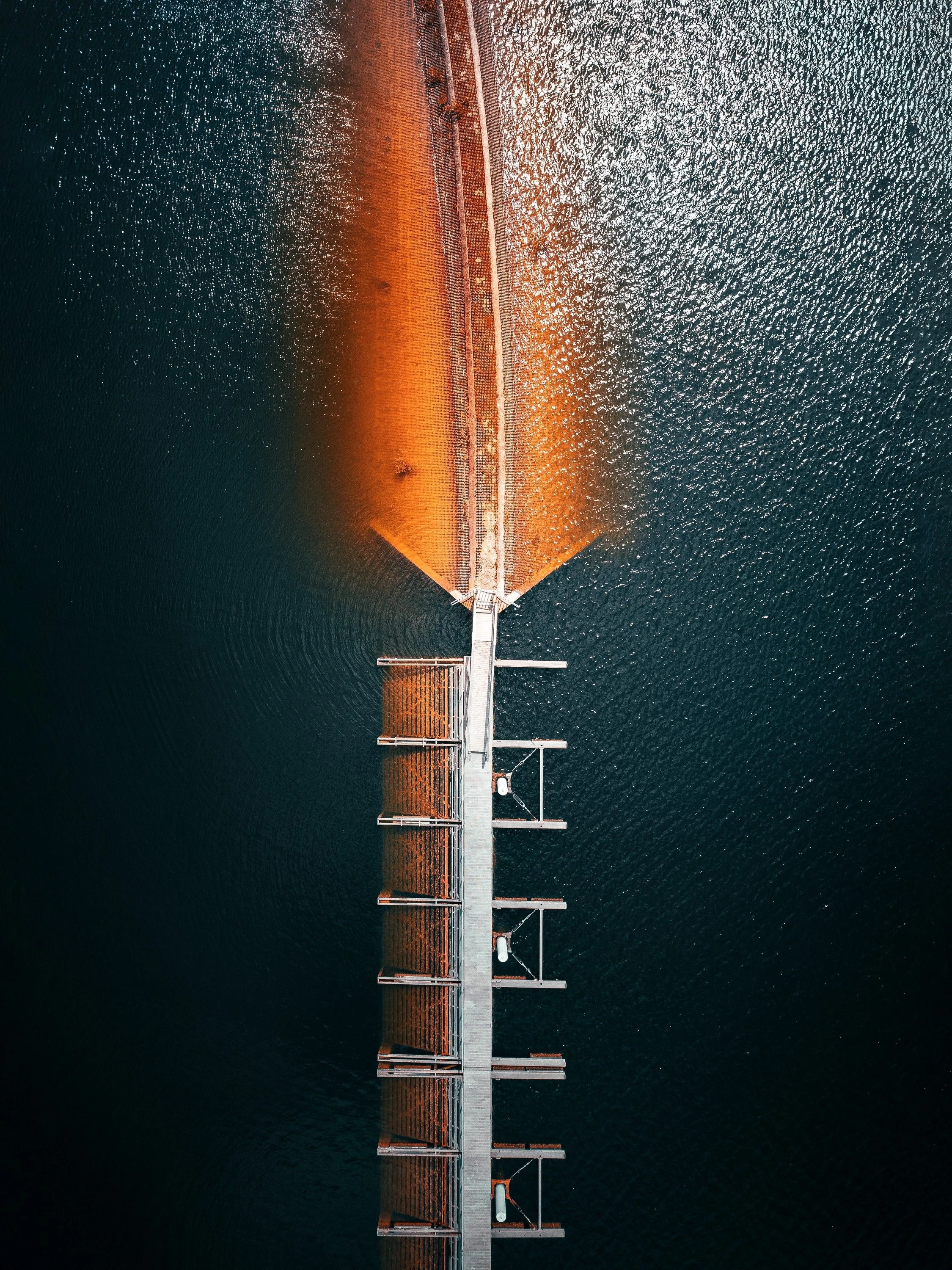 Spine