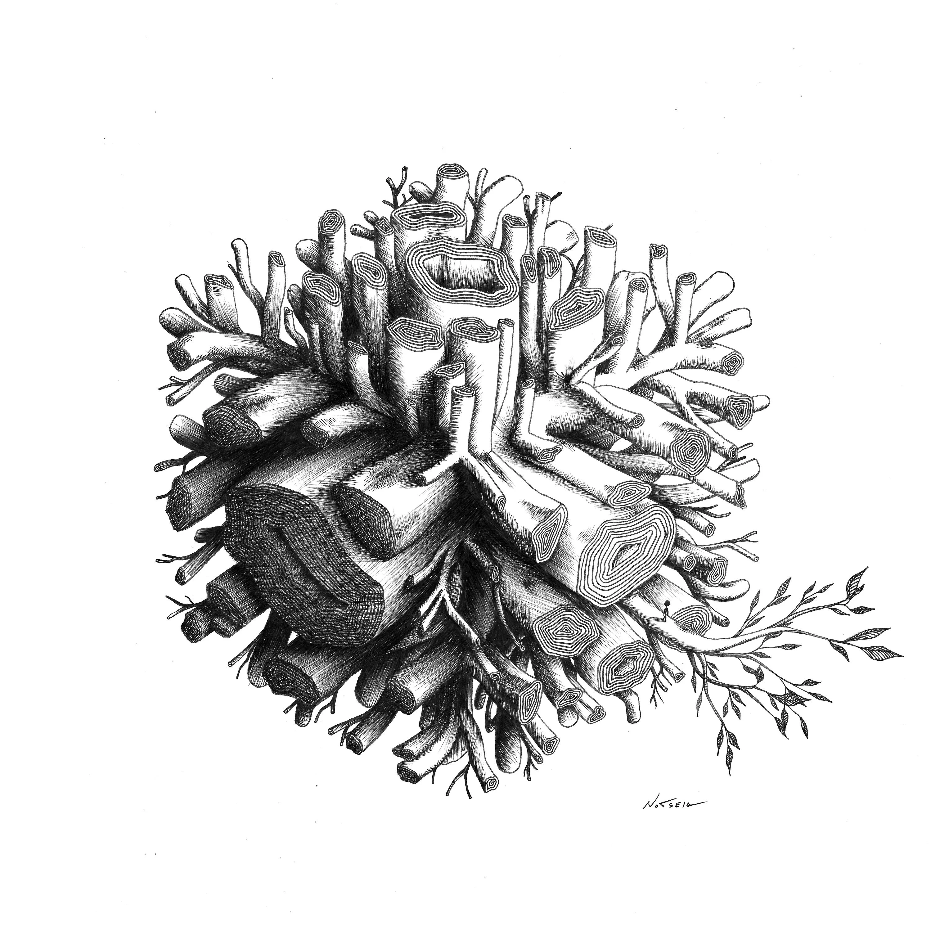 Tree Of Life